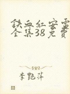 铁血红安电视剧全集38免费观看