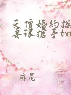 天价婚约总裁前妻很抢手txt