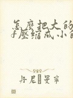 怎么把大的pdf压缩成小的