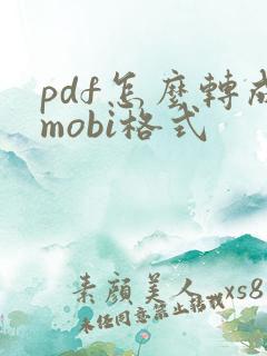 pdf怎么转成mobi格式