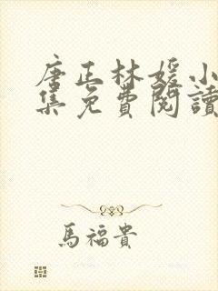 唐正林媛小说全集免费阅读