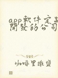 app软件定制开发的公司哪家好