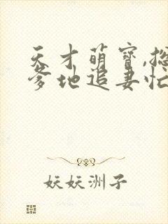 天才萌宝,总裁爹地追妻忙