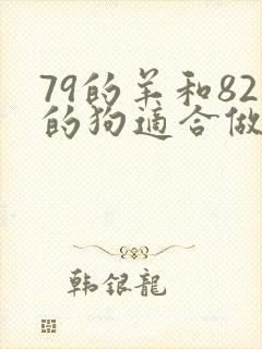 79的羊和82的狗适合做夫妻吗