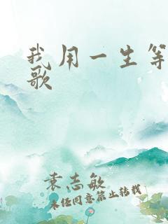 我用一生等你啥歌