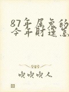 87年属兔的人今年财运怎么样