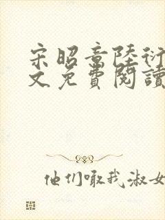 宋昭意陆衍辞全文免费阅读无弹窗