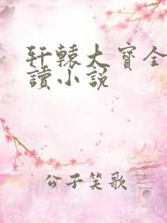 轩辕大宝全文阅读小说