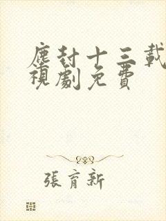尘封十三载 电视剧免费