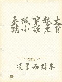 秦枫穿越大夏王朝小说免费阅读
