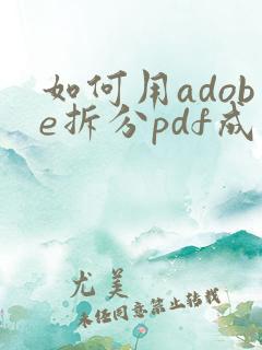如何用adobe拆分pdf成多个文件