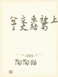 公交车被上高潮了大结局