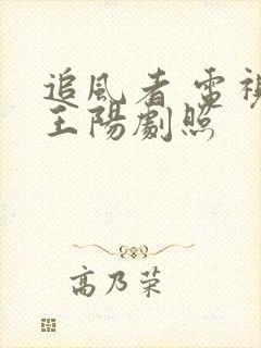 追风者 电视剧王阳剧照