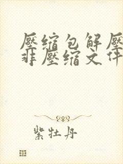 压缩包解压提示非压缩文件怎么弄