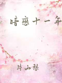 暗恋十一年小说