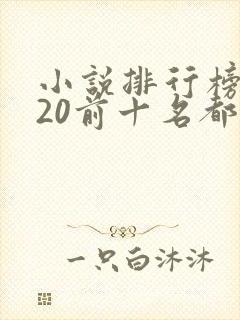 小说排行榜2020前十名都市