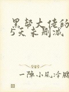 黑帮大佬的365天未删减