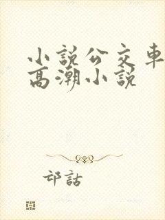 小说公交车被上高潮小说