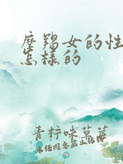 摩羯女的性格是怎样的
