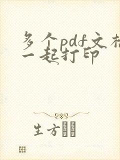 多个pdf文档一起打印