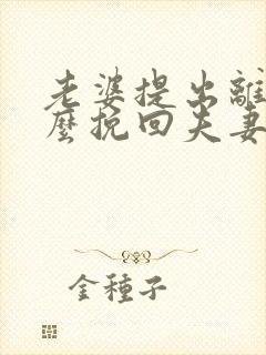 老婆提出离婚怎么挽回夫妻感情