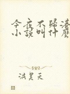 今夜不归港原著小说叫什么名字