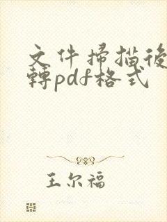 文件扫描后如何转pdf格式
