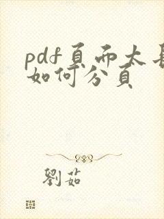 pdf页面太长如何分页