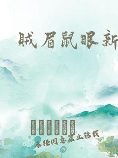 贼眉鼠眼新书