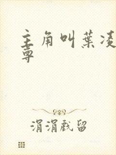 主角叫叶凌天至尊