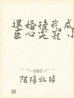 退婚后我成了权臣心尖宠 小说