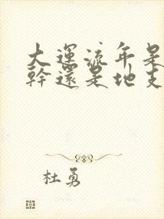 大运流年是看天干还是地支