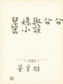 儿媳与公公的秘密小说