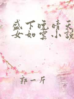 盛下晚晴天之美女如云小说
