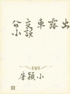 公交车露出调教小说