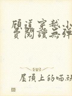 顾道穿越小说免费阅读无弹窗