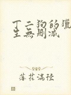 丁二狗的猎艳人生无删减