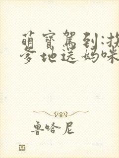 萌宝驾到:拐个爹地送妈咪