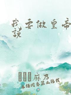 我要做皇帝 小说