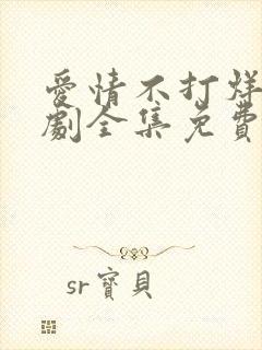 爱情不打烊电视剧全集免费观看