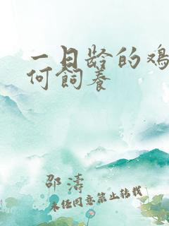 一日龄的鸡苗如何饲养