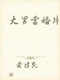 大男当婚片头曲