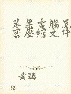 苹果电脑怎么加密压缩文件
