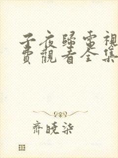子夜归电视剧免费观看全集高清第22