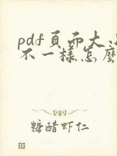 pdf页面大小不一样怎么调整