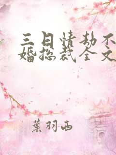 三日情劫不嫁已婚总裁全文阅读