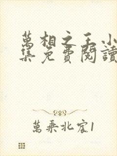 万相之王小说全集免费阅读无弹窗