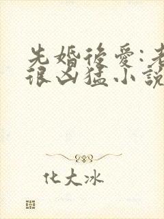 先婚后爱:老公很凶猛小说电子版txt