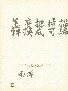 怎么把扫描文件转换成可编辑的文档