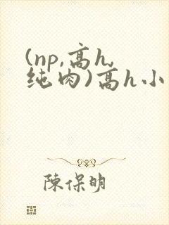 (np,高h,纯肉)高h小说